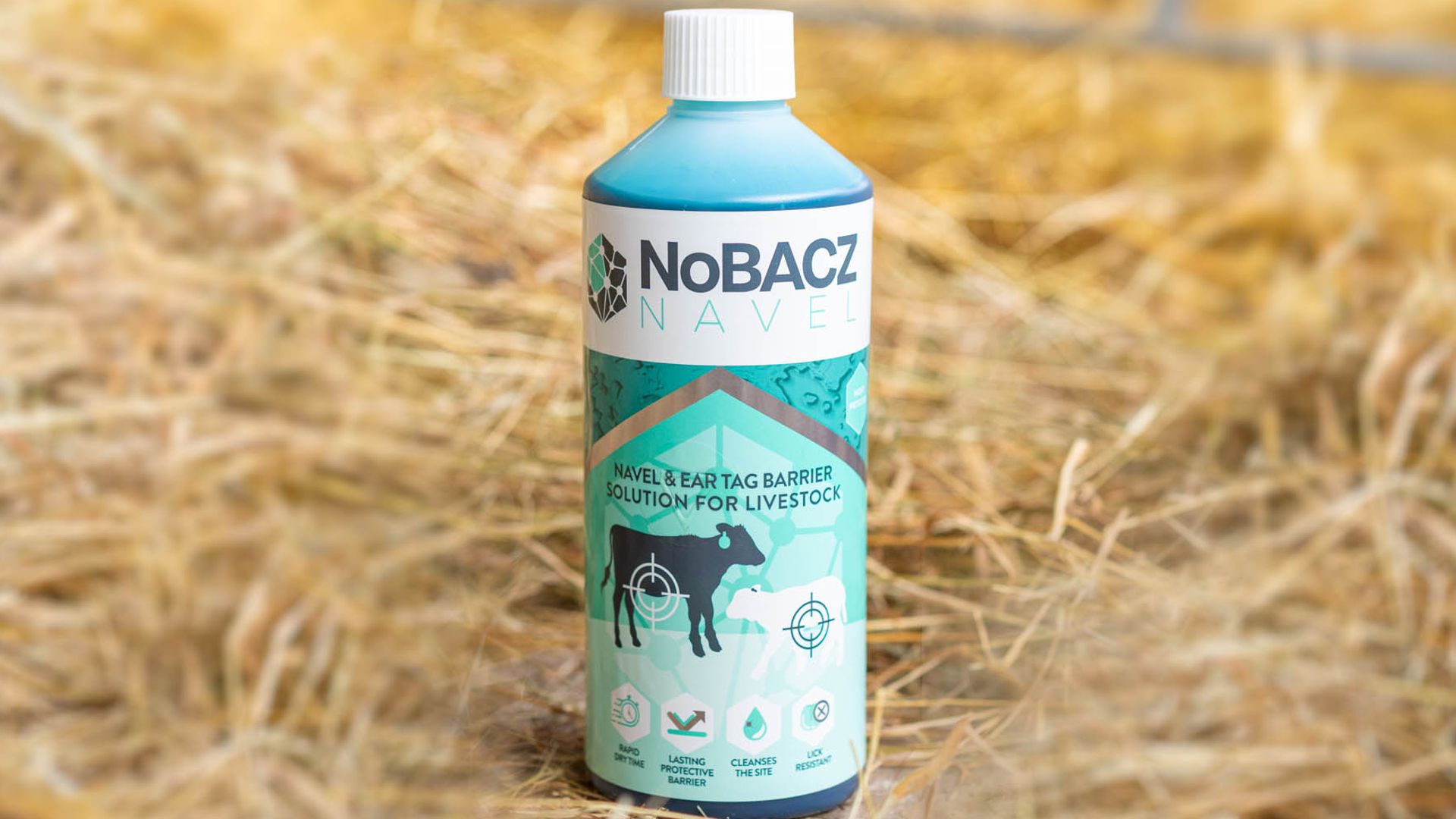 Cambridge animal woundcare spinout NoBACZ lands &#163;5m injection