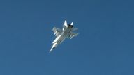 Sweden's military has released images which it says show a Russian fighter jet that violated Estonian airspace this morning. Pic: Reuters