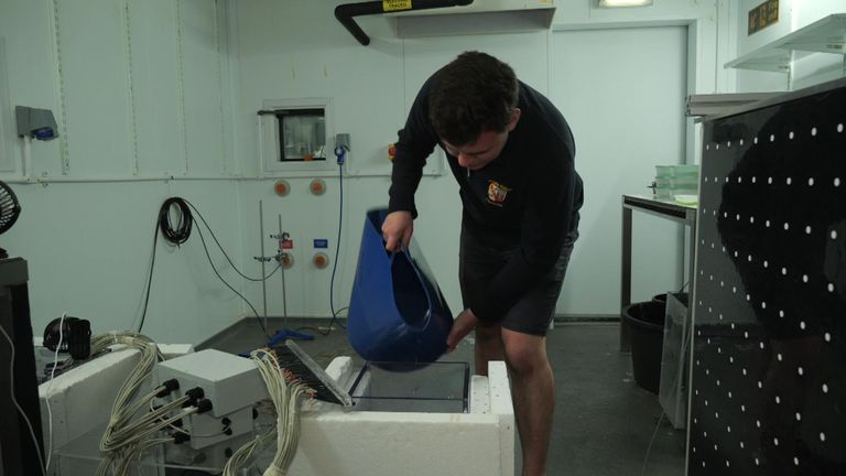 The team is trying to recreate how sea ice is formed
