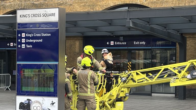 Londyńska brygada straży pożarnej sprowadziła szczeniaka za pomocą „drabiny gramofonowej”. Zdjęcie: Pa