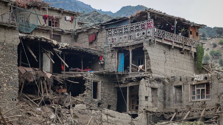 Livestock are left to shelter inside a damaged house. Pic: Reuters
