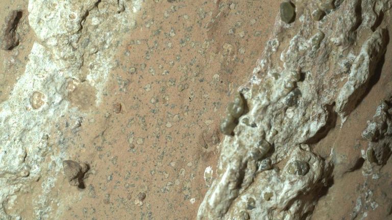 Lampart przypominający plamkę na skale. PIC: NASA/JPL-CALTECH/MSSS