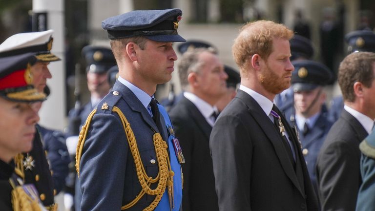The visit has fuelled speculation Prince Harry, estranged from brother Prince William,  pictured here in 2022, will meet