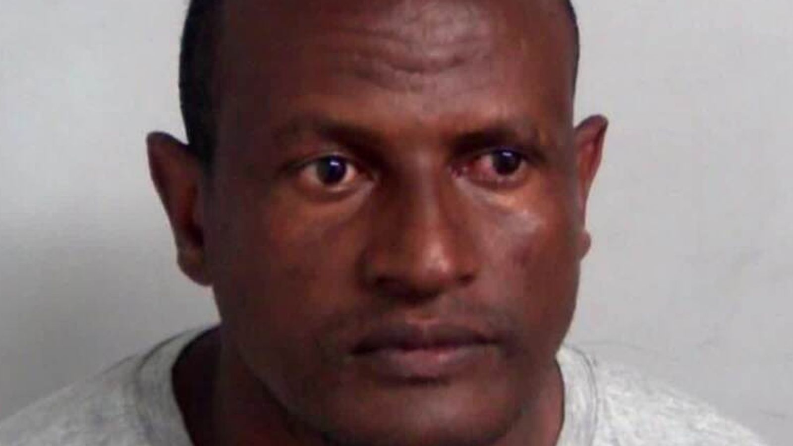 David Lammy blames 'human error' for release of migrant sex offender - as confirms independent investigation