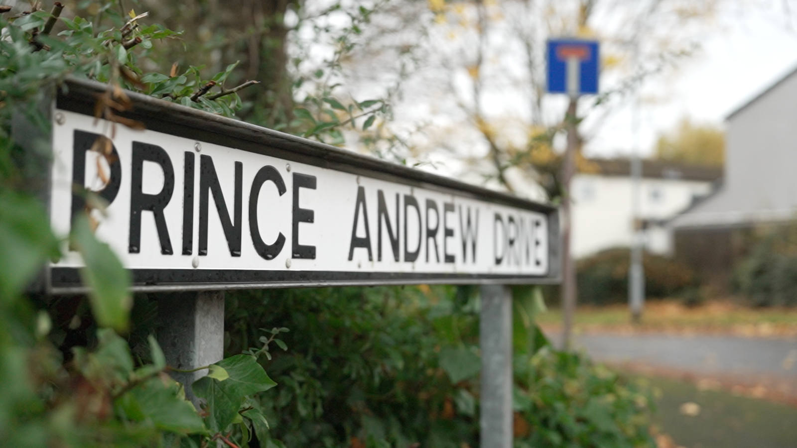 Should Prince Andrew Drive be renamed? Here's what residents think