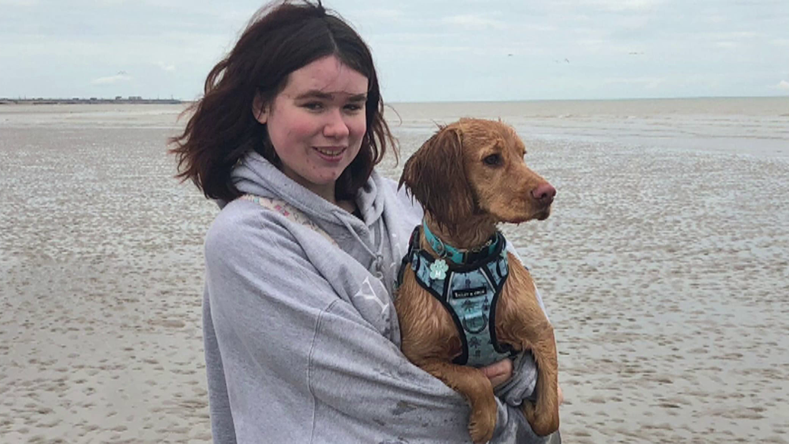 Families whose loved ones took their lives after buying poison online write to PM