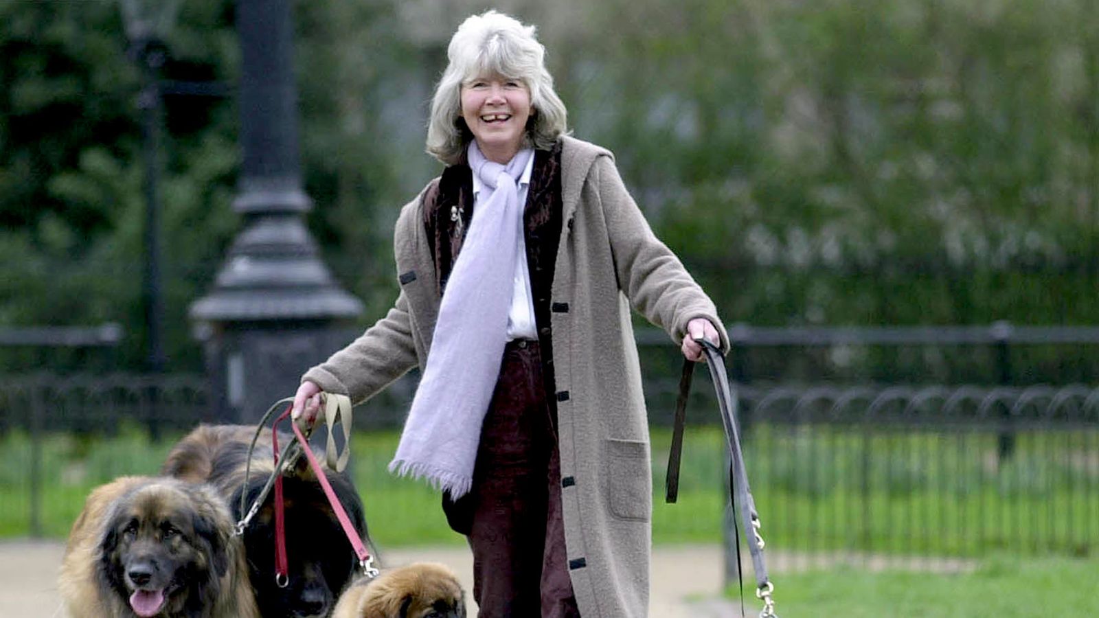 Senior politicians pay tribute to Tory supporter and countryside campaigner Dame Jilly Cooper