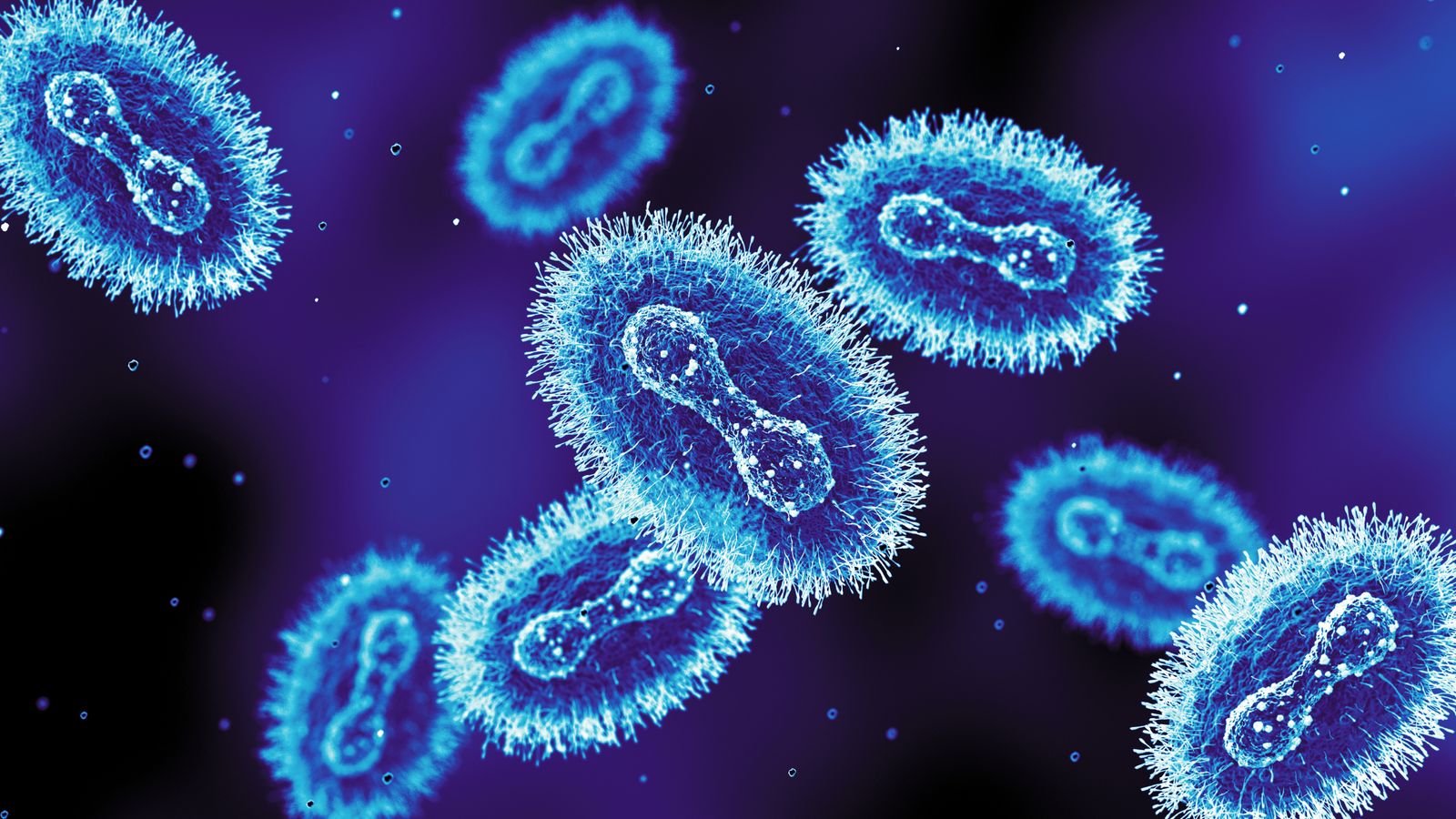 Vaccine reminder as mpox strain spreads in Europe