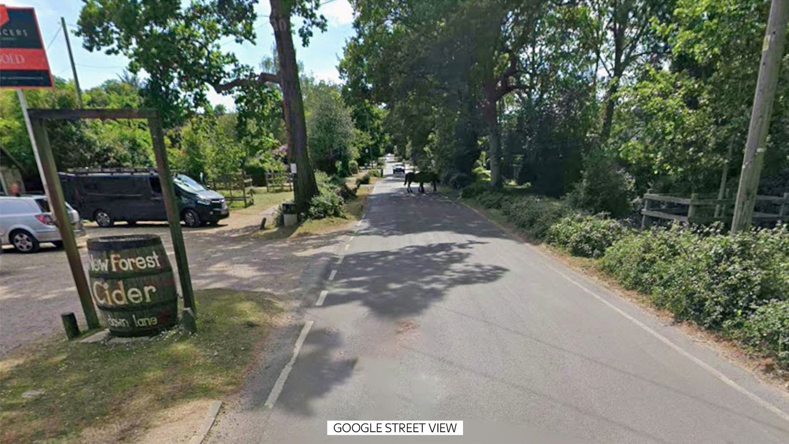 Pair found dead in camper van after attending New Forest cider festival