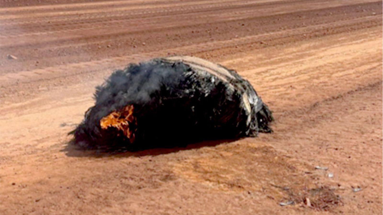 Burning space debris which crashed to Earth may have come from Chinese rocket, says expert