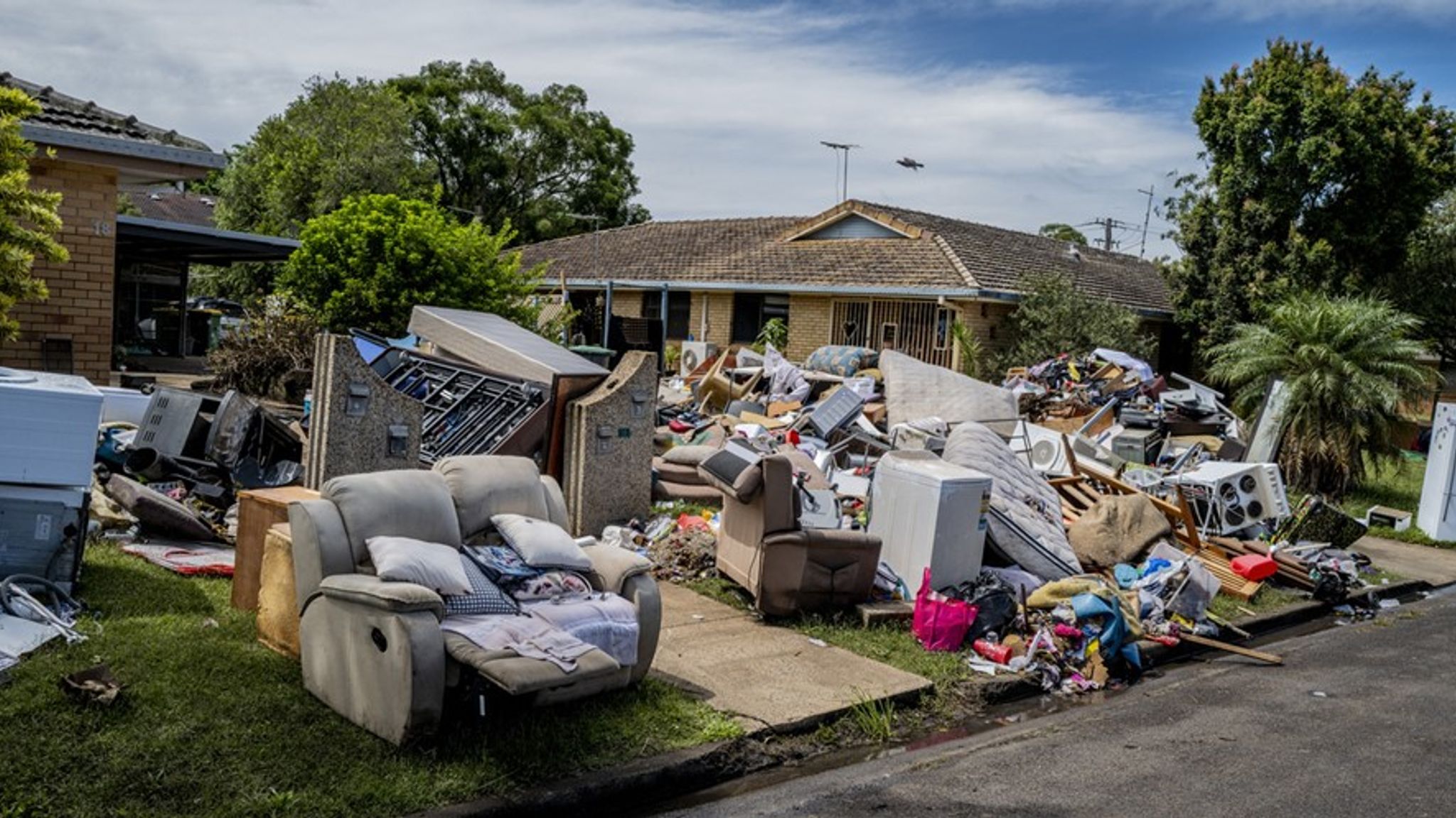 Section Neighbour Nightmare House Sparks Years What Is Japanese Knotweed—and Why Is It Such a Problem?