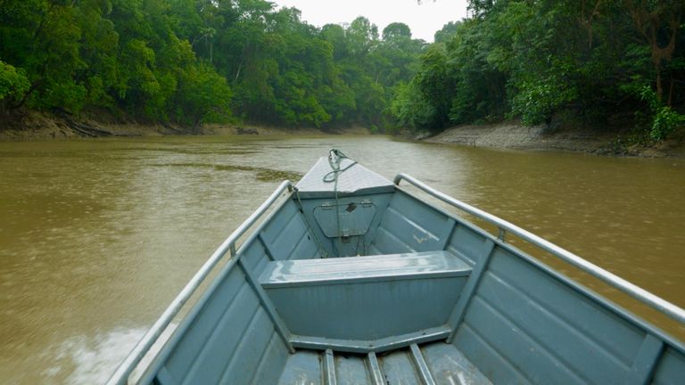 Paste BN travelled on the Amazon to see a coca plantation