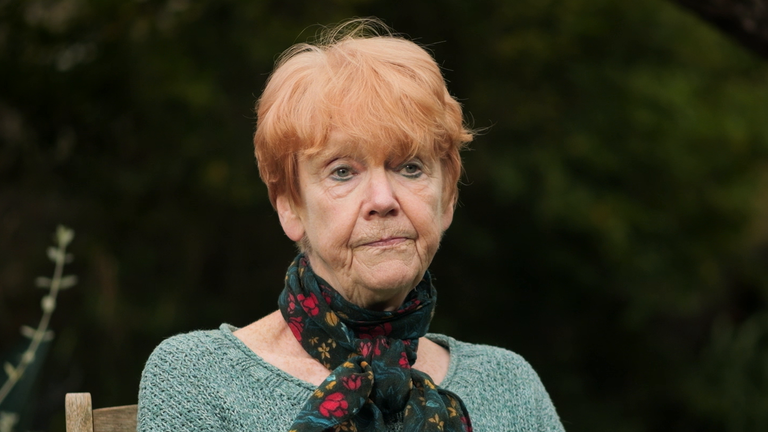 Dame Vera Baird insists Capture cases are being given 'what priority we can give them'