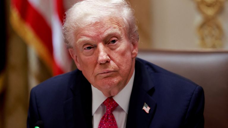 Donald Trump suggested the US could make a deal in future with Ukraine in exchange for drones. Pic: Reuters