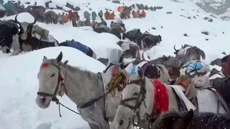 Tibet'teki Everest Dağı'nda yüzlerce yürüyüşçünün şiddetli kar nedeniyle mahsur kalmasından sonra kurtarma çalışmaları sürüyor. Resim: AP