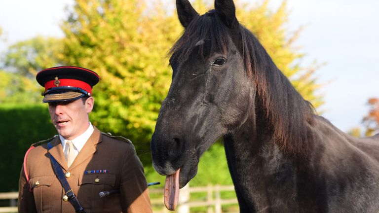 Cankurtaran Filosu Lideri Binbaşı Tom Stewart'la birlikte fotoğraflanan Quaker, The Horse Trust'ta emekliliğine başlıyor. Resim: PA