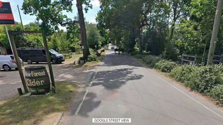 Two people were found dead in a camper van after attending a cider festival in the New Forest