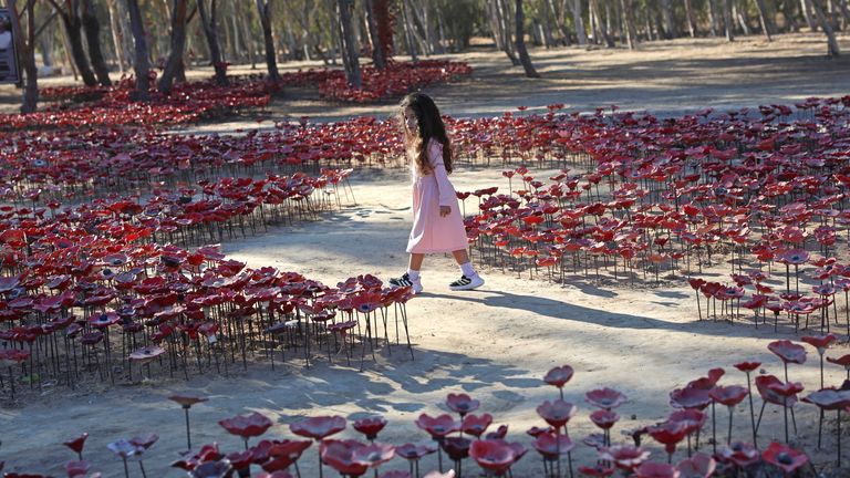 A girl walks through an installation of flowers at the site of the Nova festival. Pic: Reuters