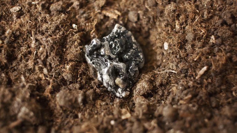 Pic: iStock