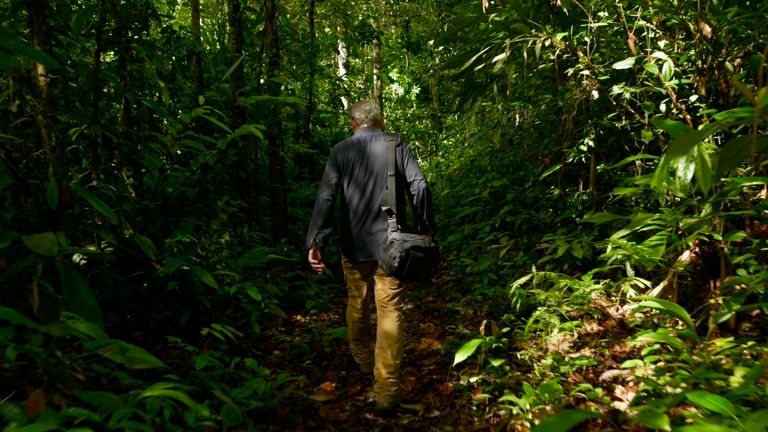 Stuart Ramsay in the rainforest