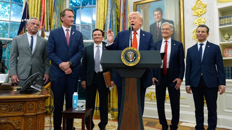 President Donald Trump speaking in the Oval Office. Pic: AP