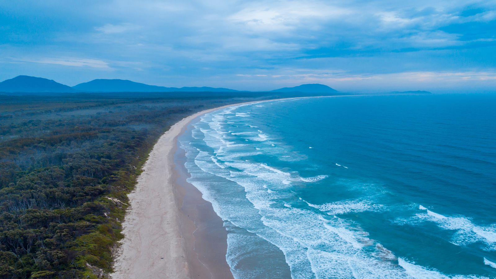 Woman killed and man injured in shark attack at popular beach