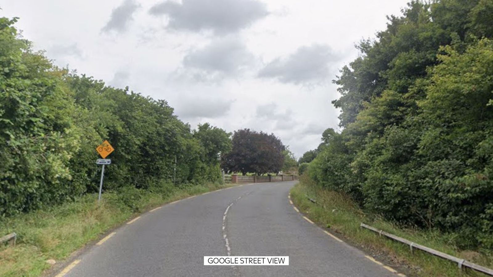 Three men and two women in their 20s have died in car crash in Co Louth, Irish police say