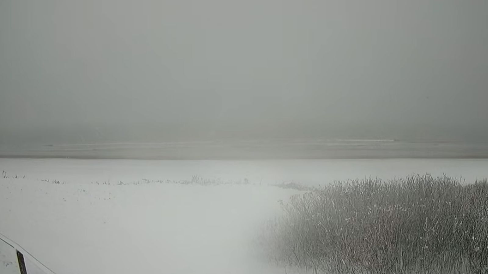 UK snow latest | Met Office warns of 'frequent wintry showers' – Sky News   news.sky.com
