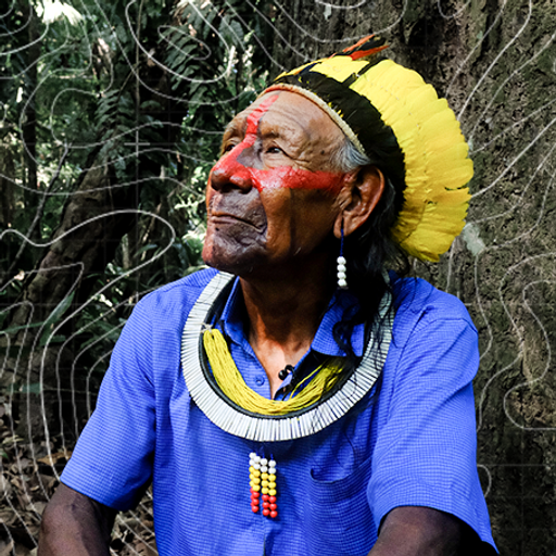 Earth's lungs are collapsing - is net zero dead?