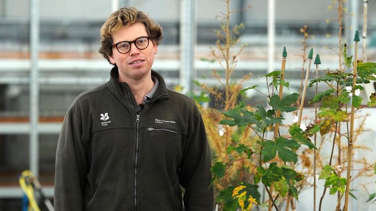 达里尔·贝克 (Darryl Beck) 表示,在过去的两年里能够照顾这些树苗是我的荣幸。图片:国民信托