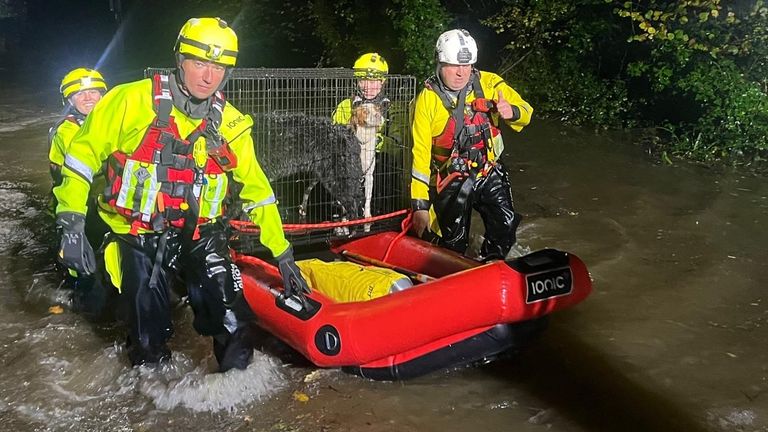 Crews transported animals from Glanrhyd Dog Sanctuary, Kidwelly, to safety. Pic: MAWWFRS