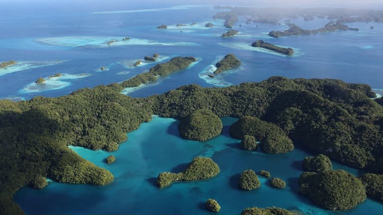 COP summits 'give small countries a voice' says Palau's president. Pic: Reuters