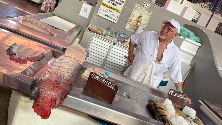 偶爾食用受污染的魚，例如紅鱗皮拉魯庫魚，不會造成傷害，但頻繁食用可能會造成傷害。