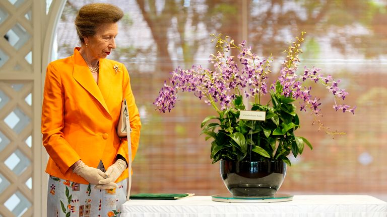 Prenses Kraliyet, Singapur'daki Ulusal Orkide Bahçesi'ni ziyareti sırasında 'Dendrobium Anne' orkidesiyle. Resim: PA