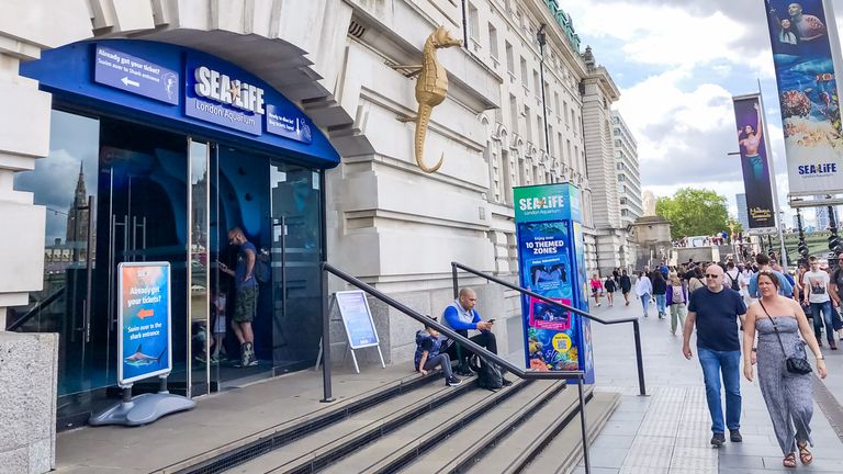 The aquarium is connected  the South Bank adjacent   the London Eye. iStock record  pic