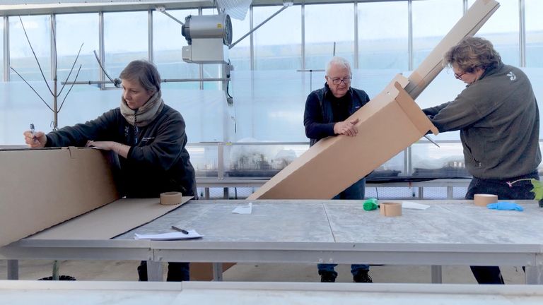 第一批树苗正在打包发货。图片:国民信托