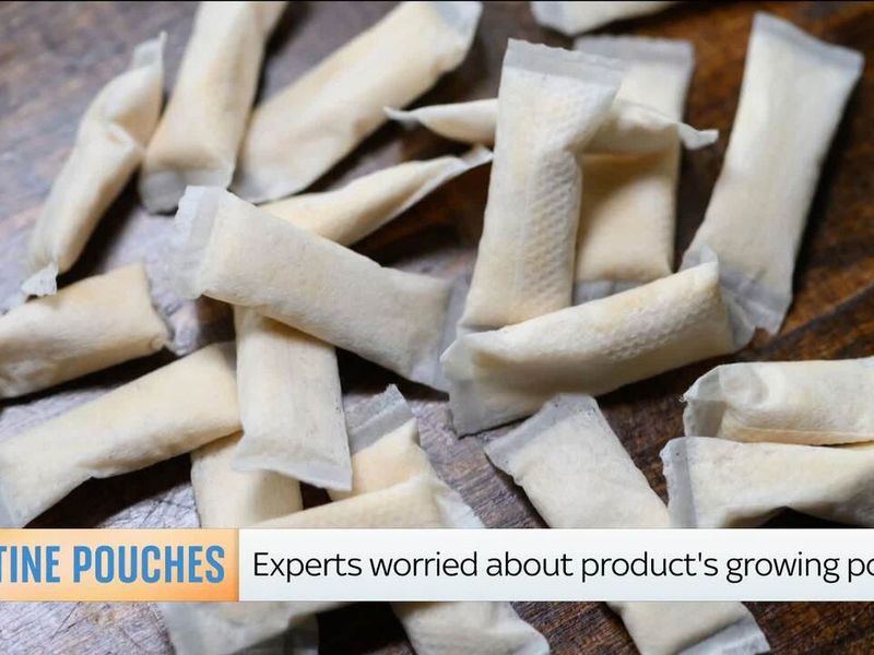 From November: Expert weighs in on pouch risks