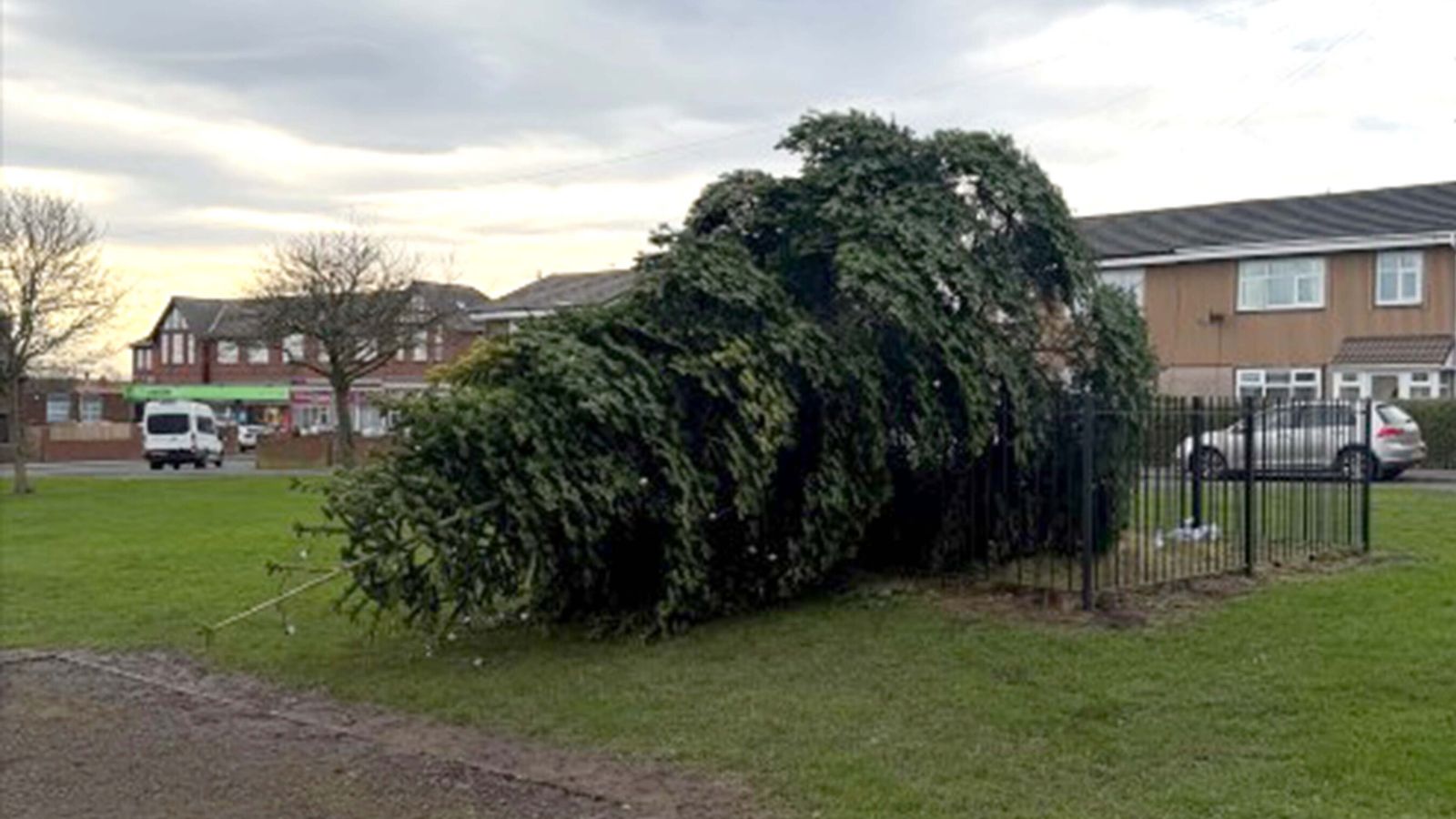 Christmas tree chopped down hours after lights switch-on