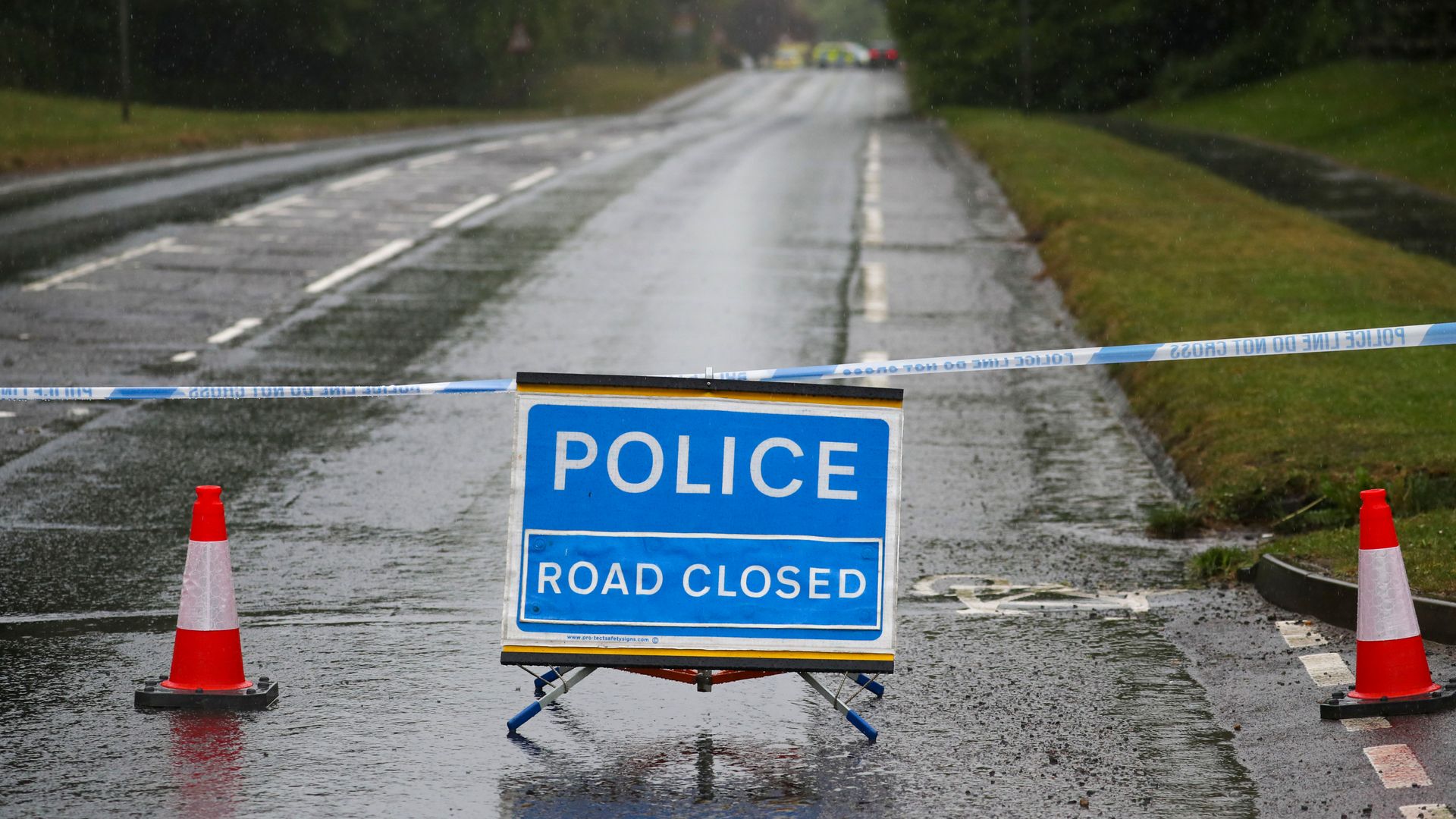 Two teenagers killed after Tesla crashes into tree