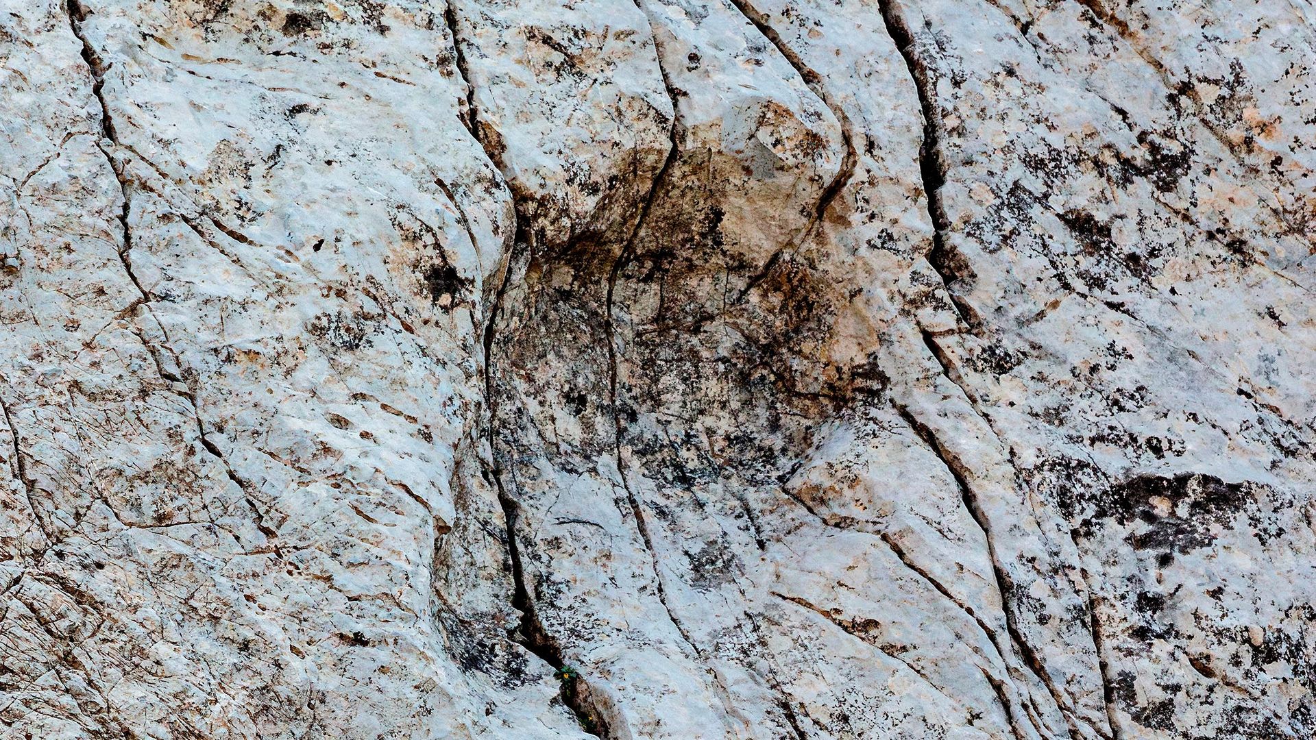 Thousands of dinosaur footprints discovered on Italian rock face