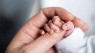 Hand of newborn baby who has just been born holding the finger of his father's hand.