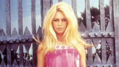Bardot in the 1960s. Pic: Everett/Shutterstock