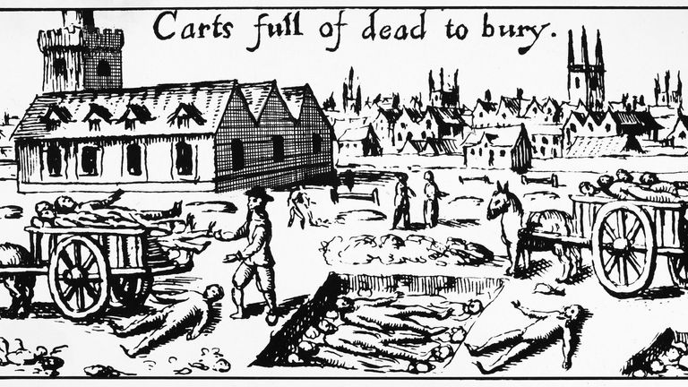 Zdjęcie: Granger/Shutterstock