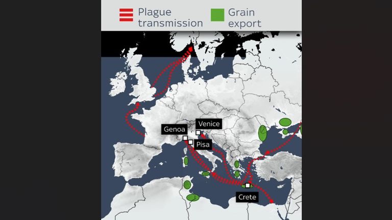 Volcanic eruption might have sparked Europe's Black Loss of life plague, scientists discover 1 How the plague spread. Source: University of Cambridge / GWZO