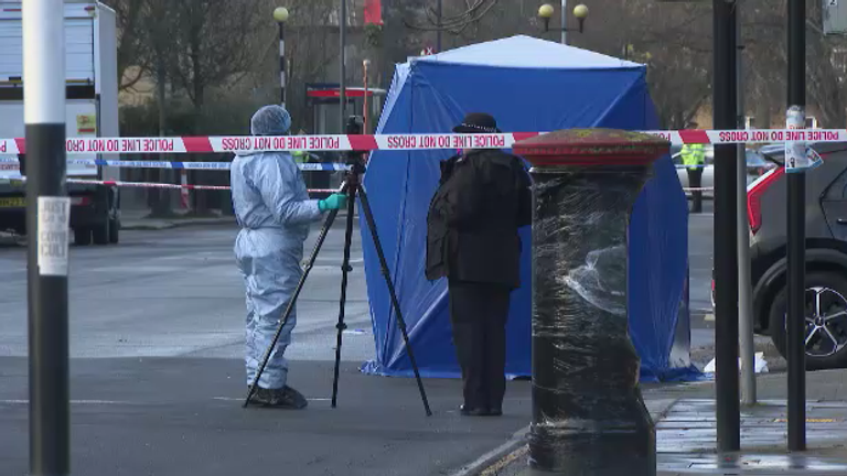 Emergency services at the scene of the murder in Brent