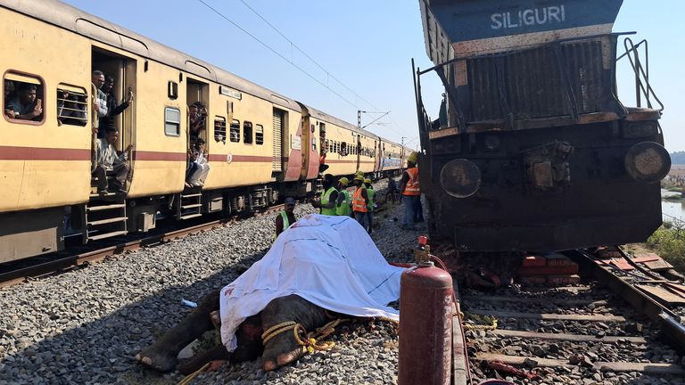 The train was carrying 650 people when it collided with elephants from the herd. Pic: Reuters