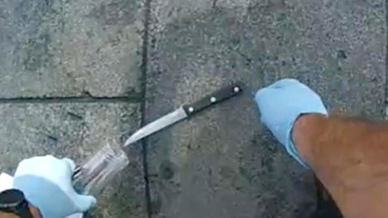 The knife used by Ioan Pintaru. Pic: Metropolitan Police/PA