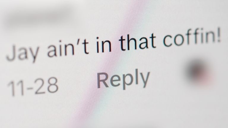 Conspiracy theories about Jay have persisted online