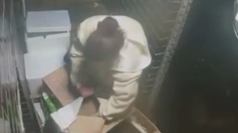 The apparent theft was captured on CCTV