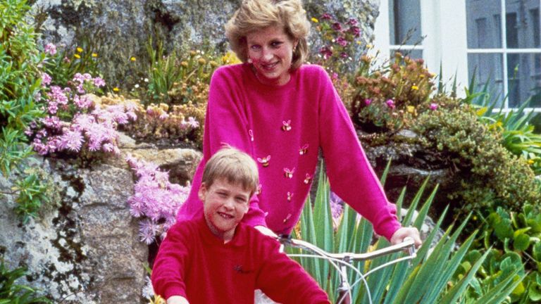 William with his mother Diana in 1989. File pic: AP